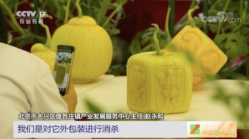 云木吃瓜是什么意思,揭秘网络流行语的趣味与内涵