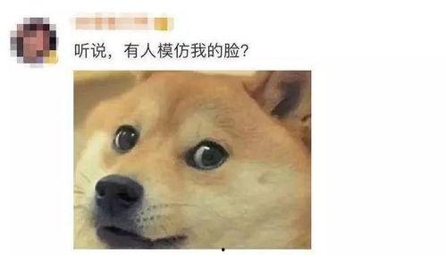 微信吃瓜社会,揭秘网络舆论背后的真相与影响