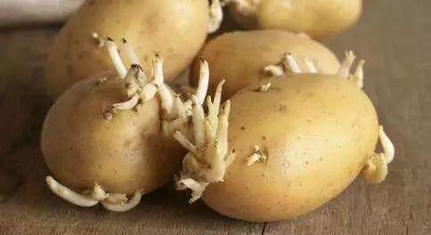 烟台同城吃瓜,揭秘本地热门事件背后的故事