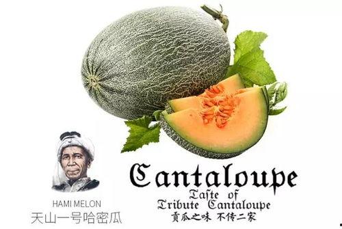 一瓜三吃之密瓜冰沙