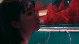 吃瓜少女盛宴,揭秘娱乐圈幕后故事