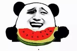 吃瓜看姻缘,瓜中姻缘，缘分天注定