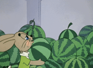 吃瓜名额,揭秘吃瓜名额背后的精彩故事