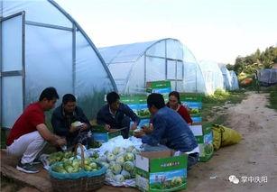 梁山公明坊吃瓜,吃瓜群众的欢乐盛宴