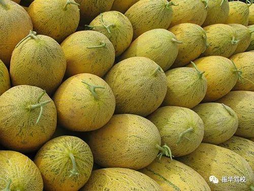 哈密瓜吃鸡,一场味蕾的盛宴